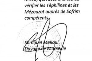 Recommandation Rav Melloul