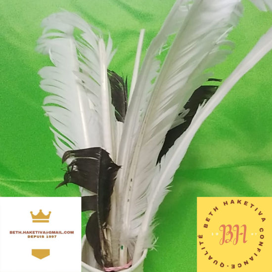 Plume d'oie