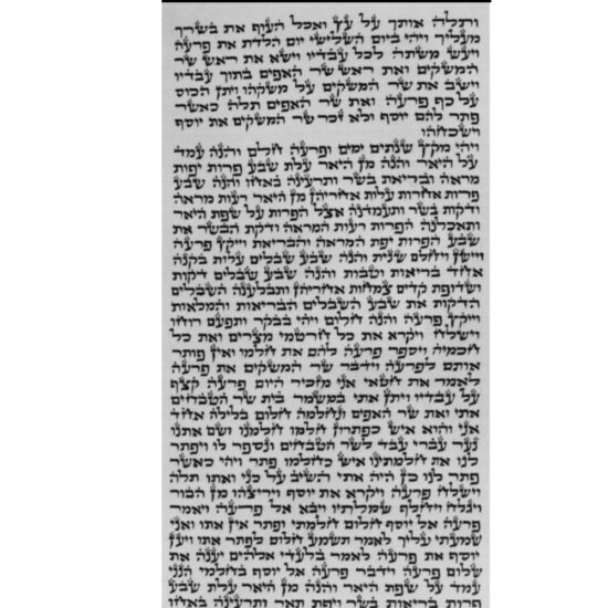 Sefer Torah